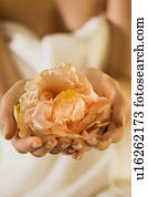 um, dia, em, um, wellness, spa