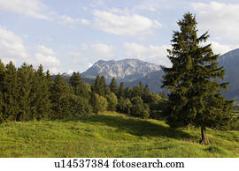 um, idyllic, paisagem