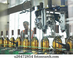 garrafas vinho, em, planta