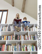 Children sitting on top of bookshelves