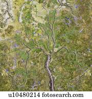 vista aérea, de, sal, pântano