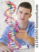 adolescente, estudante, (16-17), aprendizagem, genética