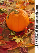 dia das bruxas, abóbora