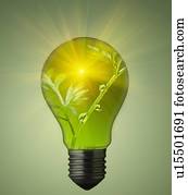 planta, crescendo, em, bulbo leve