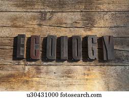 blocos madeira, soletrando, ecologia