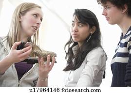 Students working in geology lab