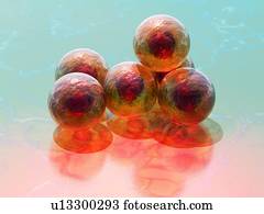 caule, celas, conceitual, computador, artwork.