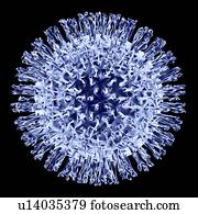 computador, artwork, de, um, genérico, virus.