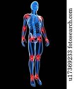 conjunto, dor, conceitual, computador, artwork.