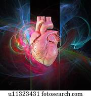 coração humano, computador, artwork.