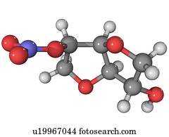 is leflunomide an immunosuppressant drug