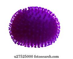 vírus gripe, computador, artwork.