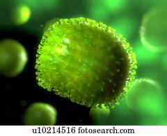 vírus gripe, computador, artwork.