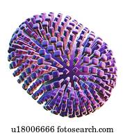 vírus gripe, computador, artwork.