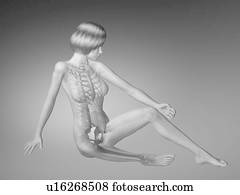 figura feminina, com, esqueleto, e, partes corpo, visível