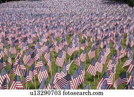 20,000, bandeiras americanas, para, dia comemorativo, boston, câmara comuns, boston, ma