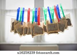 Teabags hanging from clothesline