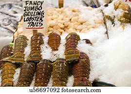 Lobsters on display at fish market