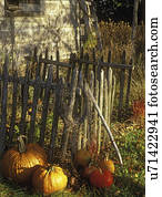estações, -, FALL:, abóboras, em, base, de, rústico, madeira, fence.