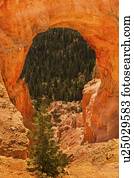 View of natural arch