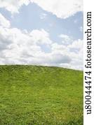 Horizon over green grass