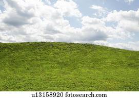 Horizon over green grass