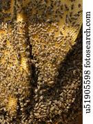 arquitetura, e, paisagens, de, slovenia