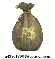 Bag with Brazilian real sign