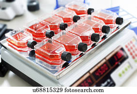 máquina eletrônica