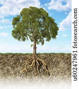 Tree roots in the soil, artwork