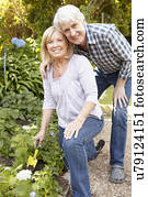 Senior couple gardening
