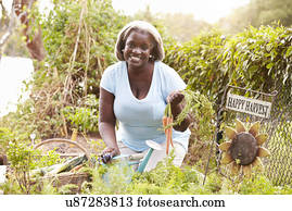 Senior Woman Working On Allotment