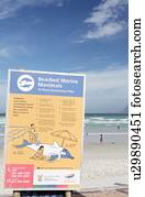 Beached marine animal information sign