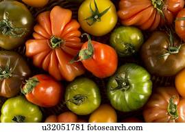Heritage tomatoes