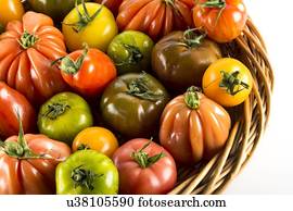 Heritage tomatoes
