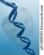 hélice dobro, e, pessoas, ilustração