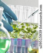 Plant Biotechnology