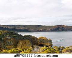 Elevated coastal view, Point Addis National Park, Anglesea, Australia