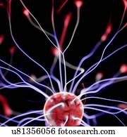 Plasma ball against a black background.