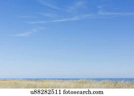 Horizon over sea and clear sky