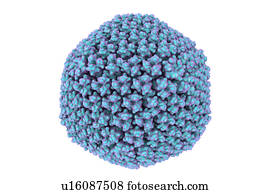 Adenovirus, illustration