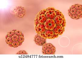 Brome mosaic virus, illustration