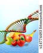 alimento fresco, e, adn