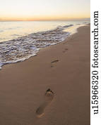 Footprints on sand on tropical beach