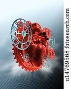 mecânico, coração