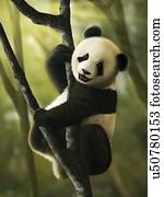 artwork, de, juvenil, panda gigante