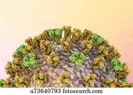 vírus gripe, ilustração