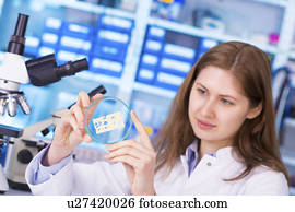 mulher, em, alimento, controle qualidade, laboratório