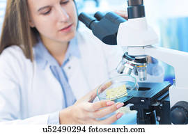 mulher jovem, em, alimento, controle qualidade, laboratório