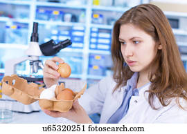 mulher, testar, ovos, em, alimento, controle qualidade, laboratório